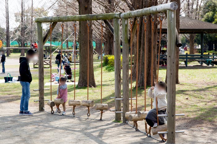 三橋総合公園 木製フィールドアスレチック