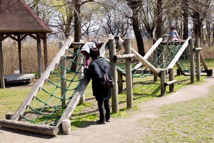 三橋総合公園 木製フィールドアスレチック