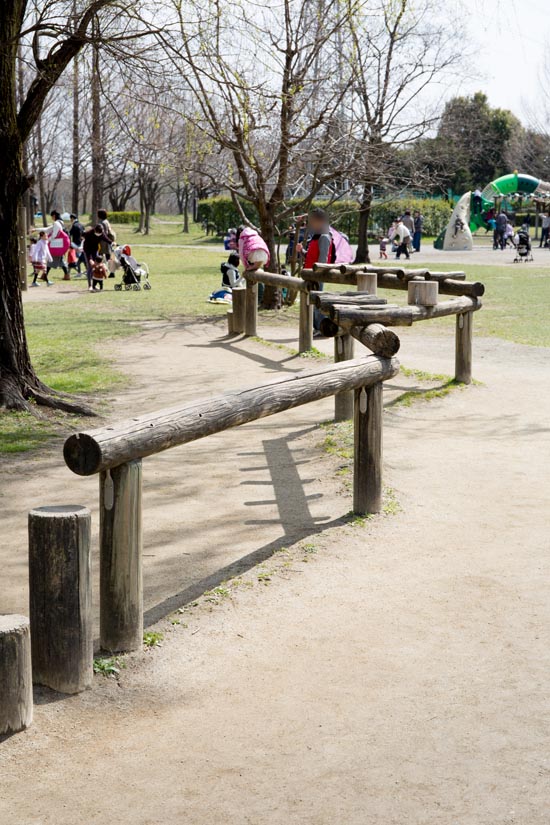 三橋総合公園 木製フィールドアスレチック