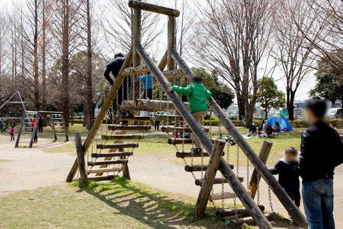 三橋総合公園 木製フィールドアスレチック