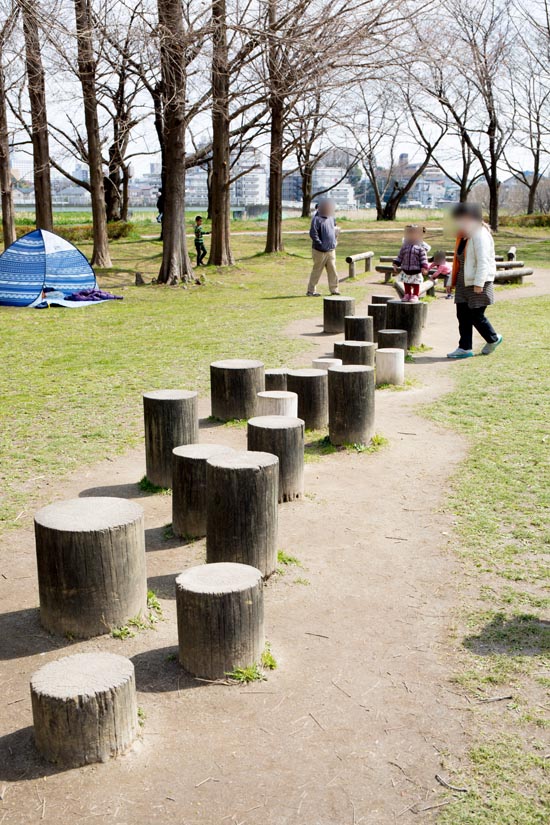 三橋総合公園 木製フィールドアスレチック