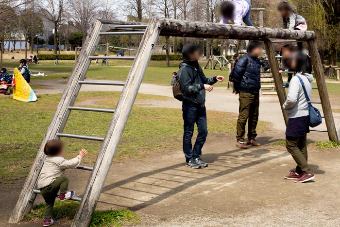 三橋総合公園 木製フィールドアスレチック
