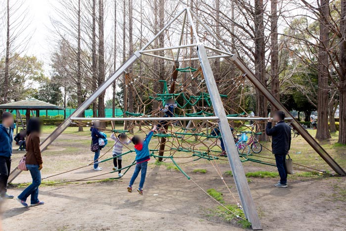 三橋総合公園 木製フィールドアスレチック