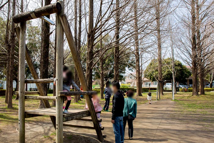 三橋総合公園 木製フィールドアスレチック