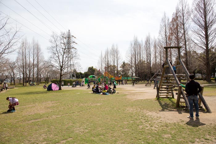 三橋総合公園 トリム広場
