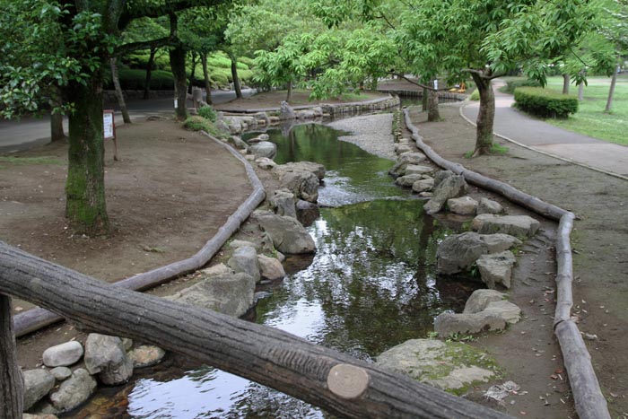 上尾丸山公園　水遊び場