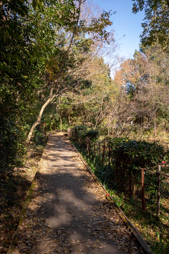 智光山公園　木道（板を並べ敷いた遊歩道）