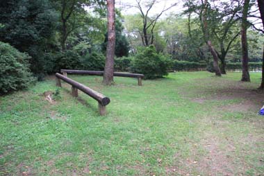 智光山公園　キャンプ場