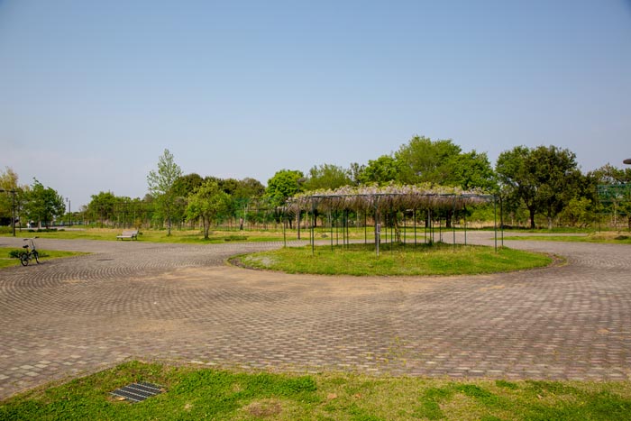 羽生水郷公園　わんぱく広場と築山の周辺