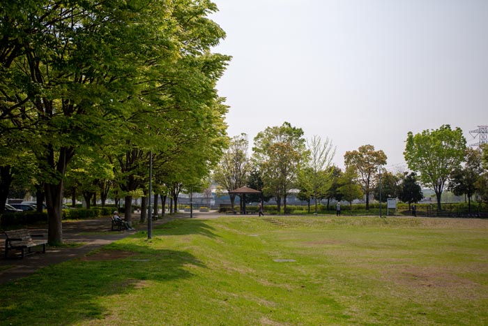 はらっパーク宮代 金原運動公園 宮代町 公園へ行こう