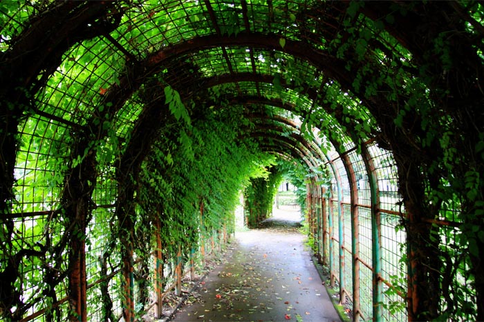 平塚公園　ちびっ子広場　緑のトンネル