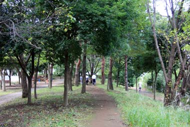 彩の森入間公園