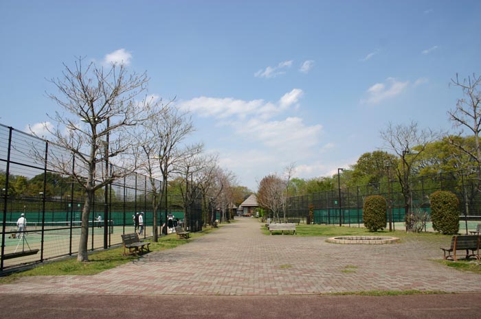 岩槻文化公園（槻の森公園）　テニスコート