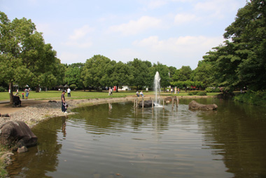岩槻城趾公園　芝生広場脇の池