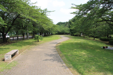 岩槻城趾公園　菖蒲池脇の広場