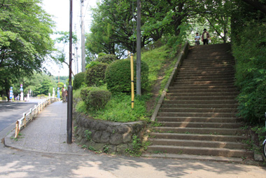 岩槻城趾公園　イグレッタ横の広場に上がる階段