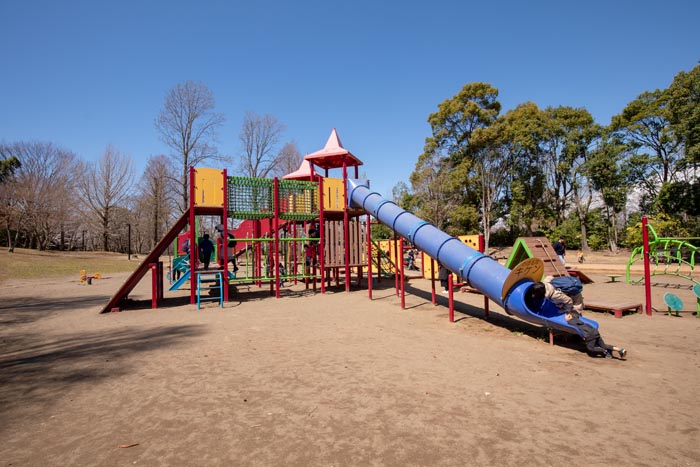 柏の葉公園　冒険のトリデ　大型複合遊具