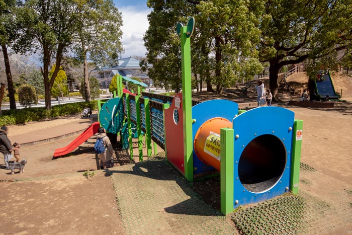 柏の葉公園　冒険のトリデ　高低差を利用した中型複合遊具
