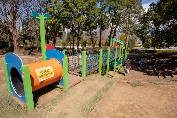 柏の葉公園　冒険のトリデ　高低差を利用した中型複合遊具