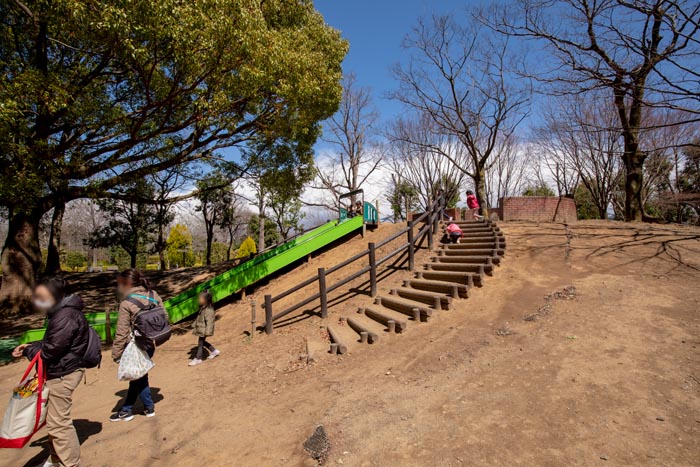 柏の葉公園　冒険のトリデ　幅広すべり台