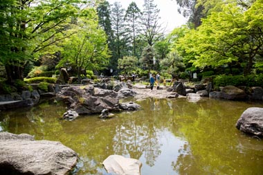 北浦和公園　日本庭園