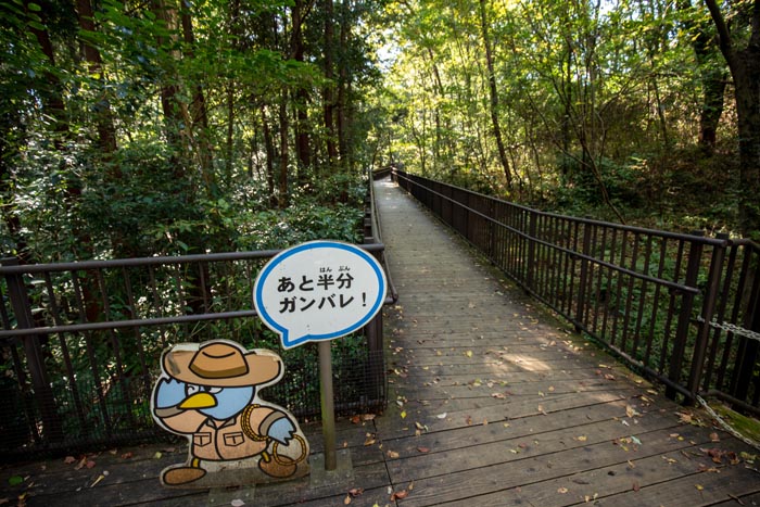 埼玉県こども動物自然公園　コバトンロード　シカとカモシカの谷