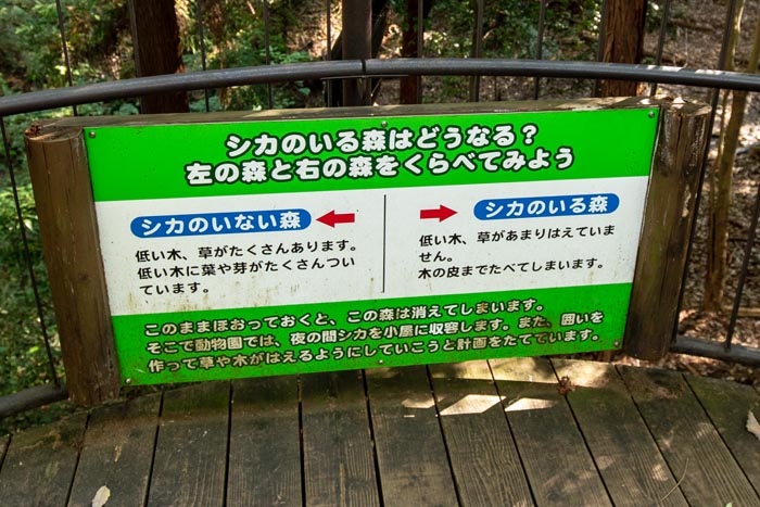 埼玉県こども動物自然公園　コバトンロード　シカとカモシカの谷　シカのいない森とシカのいる森