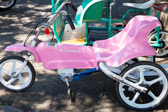 久喜菖蒲公園　レンタサイクル　3輪変形自転車