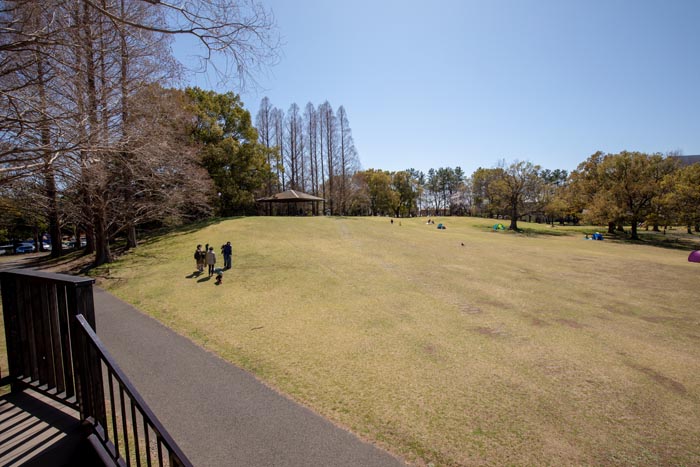 久喜菖蒲公園　ツリーハウスからの眺望