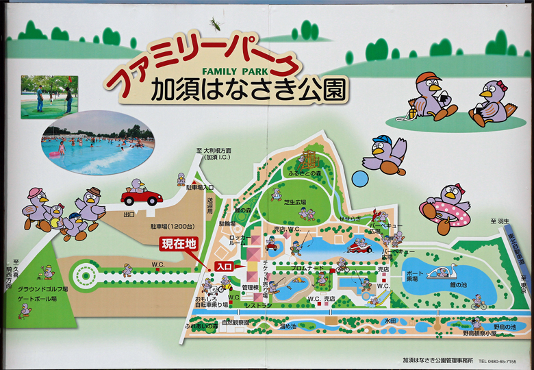 加須はなさき水上公園　園内案内図