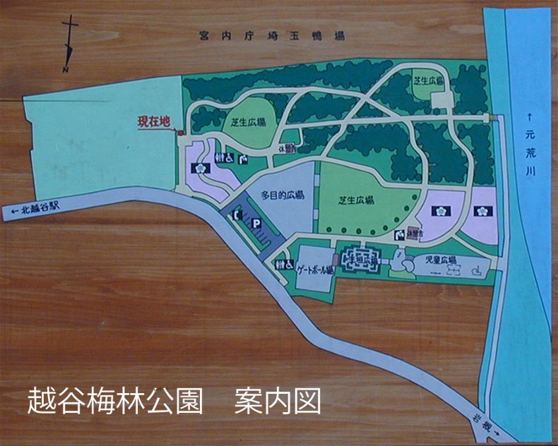 越谷梅林公園　案内図（現地の看板撮影）