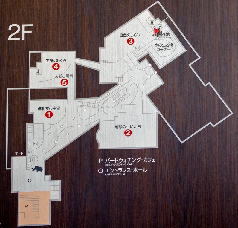 茨城県自然博物館　2階部分案内図