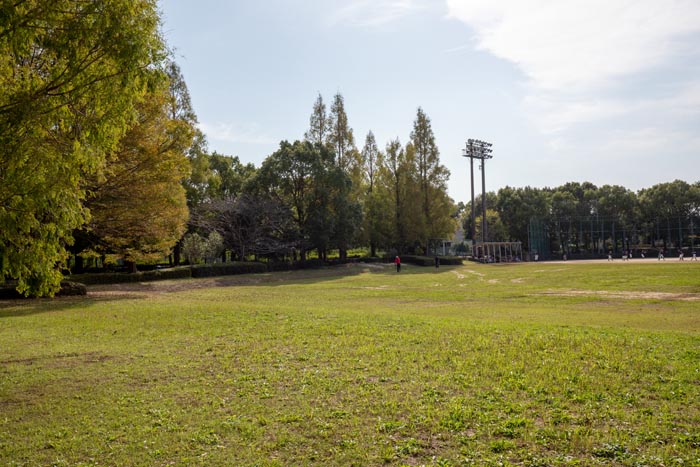 松伏記念公園　多目的広場