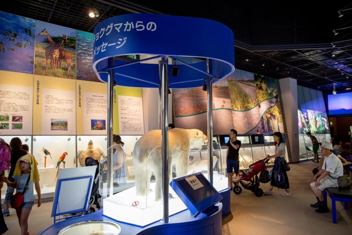 茨城県自然博物館　人間と環境