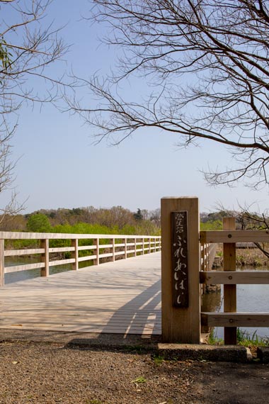 茨城県自然博物館　菅生沼ふれあい橋
