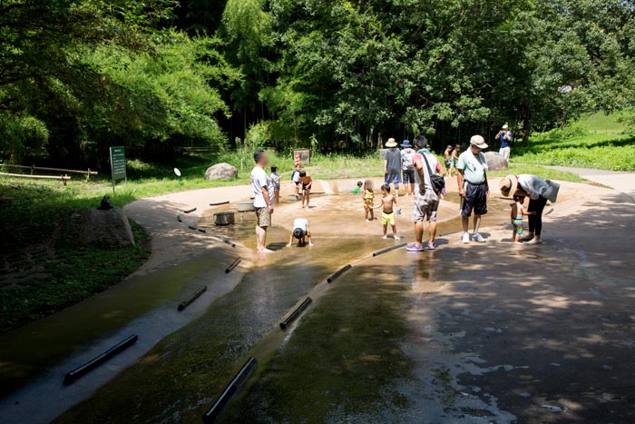 茨城県自然博物館　水の広場（水遊び）