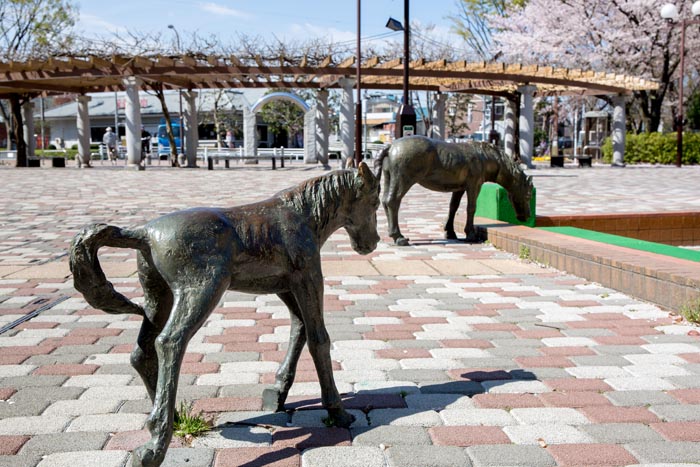 大泉中央公園 東京都練馬区 公園へ行こう