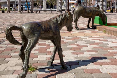 大泉中央公園　子馬の立像