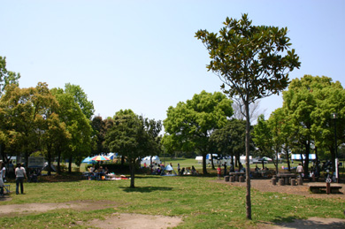 庄和総合公園　