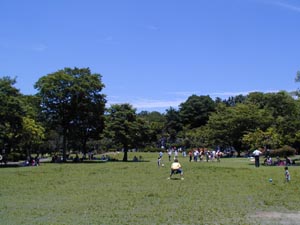 上尾丸山公園　広場