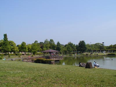 城山公園　池