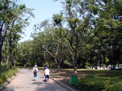 城山公園