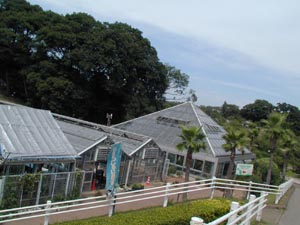 あけぼの公園　グリーンショップ　温室　2001年の写真