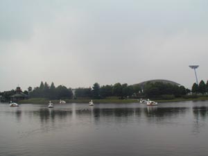 柏の葉公園　ボート池