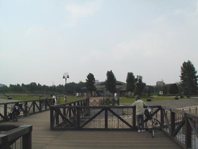 柏の葉公園　橋