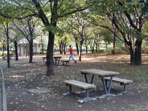 大泉中央公園　四阿の隣にあるピクニックテーブル　古い写真　2001年の写真