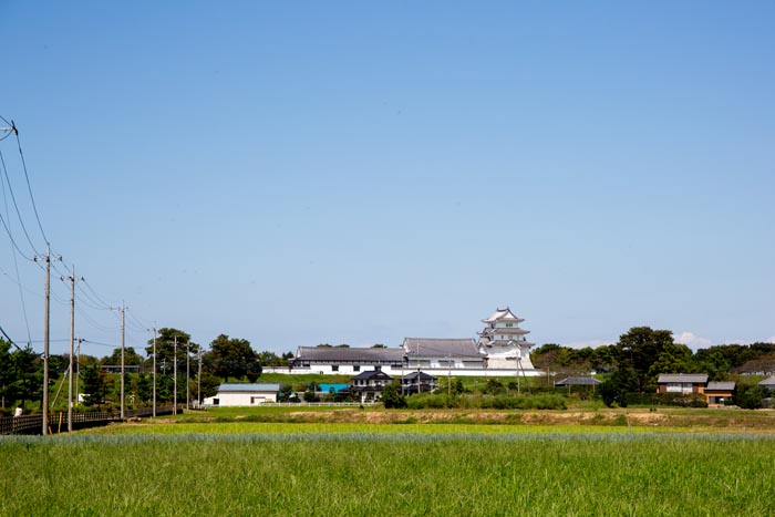 関宿城博物館　遠景