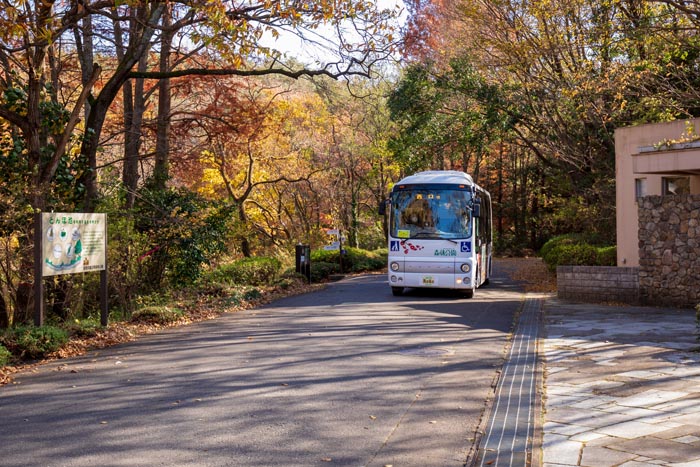 国営武蔵丘陵森林公園　園内バス　大きい方の35人乗り