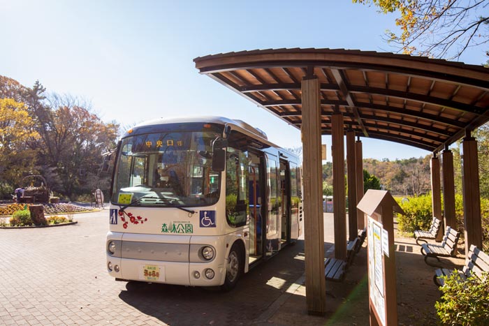 国営武蔵丘陵森林公園　園内バス　大きい方の35人乗り　西口バス停停車中