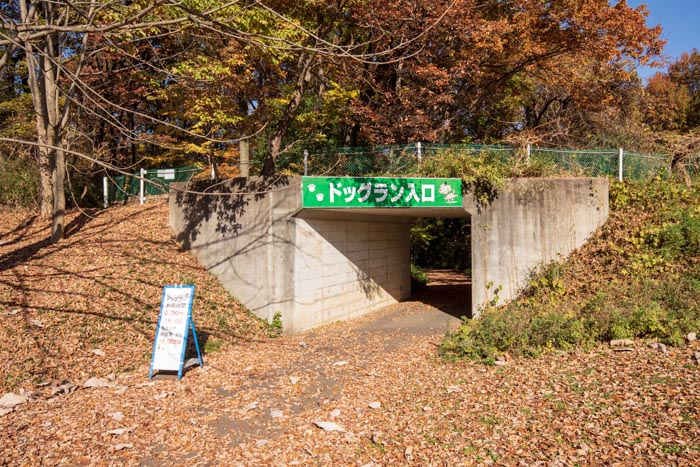 国営武蔵丘陵森林公園　ドッグラン　アクセストンネル